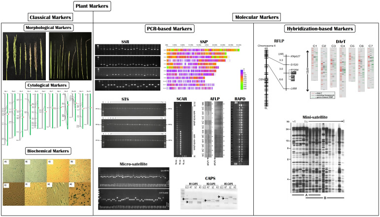 Figure 6