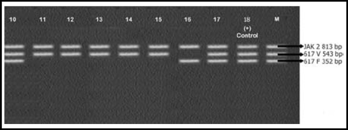 Fig.2