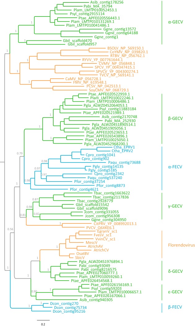 FIG 2