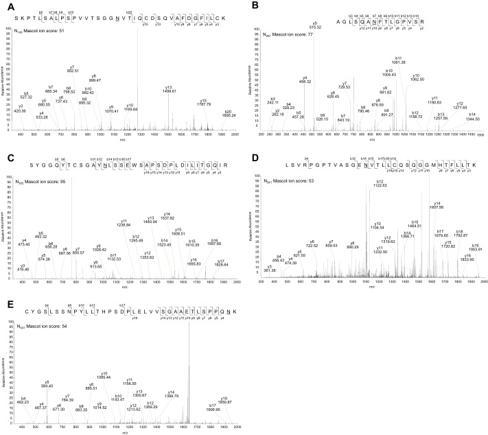 FIGURE 4.