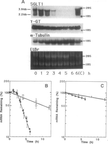 graphic file with name pnas01147-0162-a.jpg