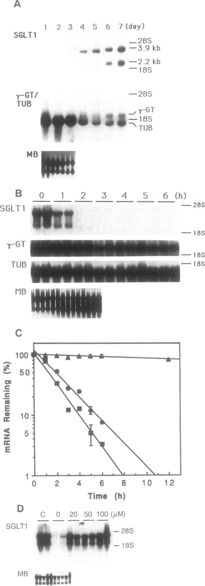 graphic file with name pnas01147-0161-a.jpg