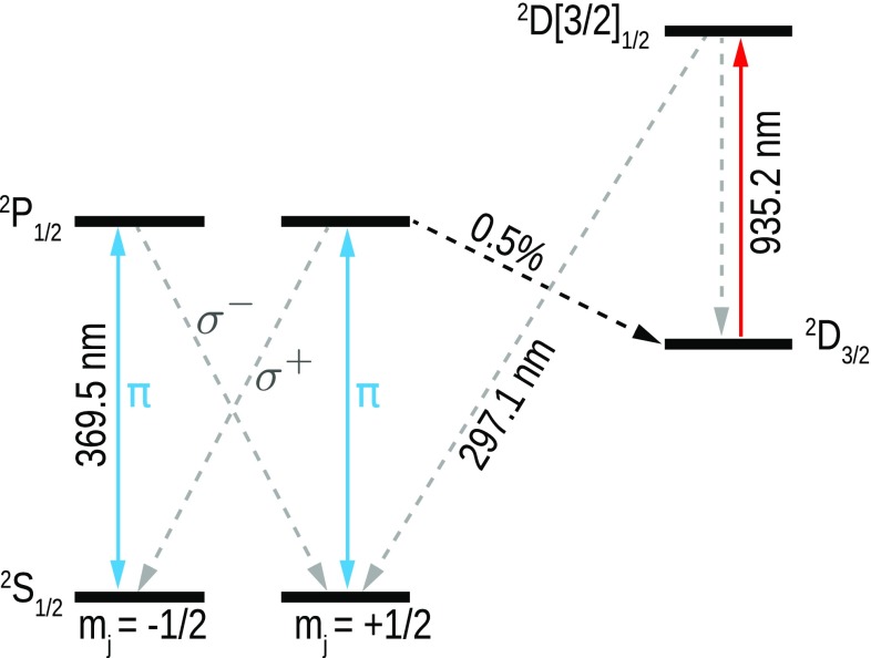 Fig. 1