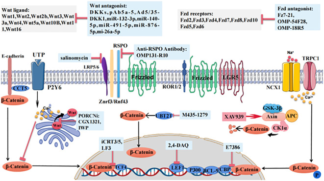 Figure 2