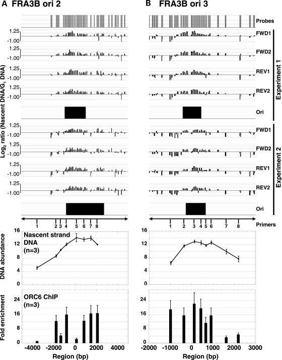 Figure 3.