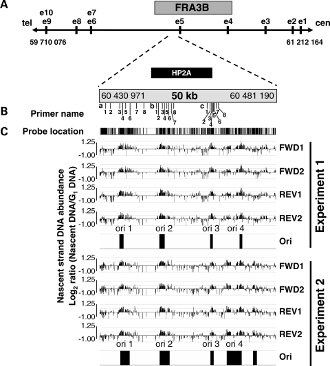 Figure 2.