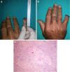 Fig. 2