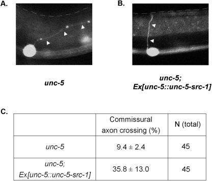 FIG. 5.