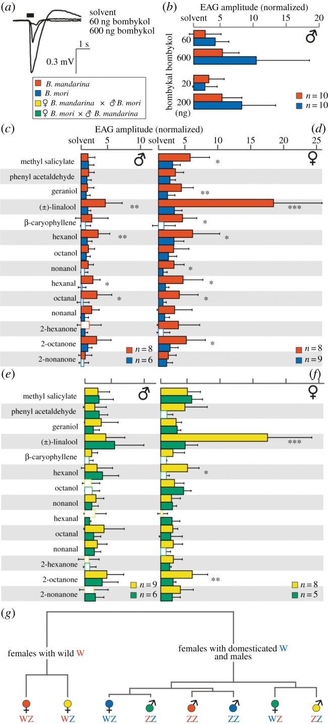 Figure 2.