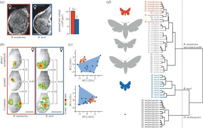 Figure 3.