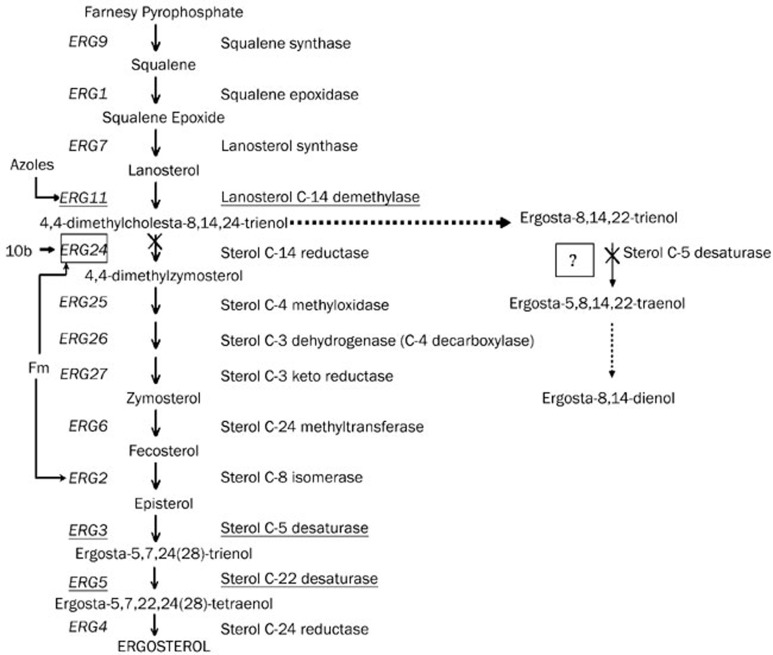 Figure 5