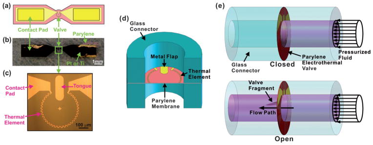 Fig. 1