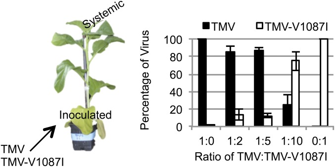 Fig. 8.