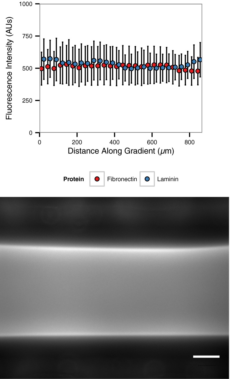 Fig. S1.