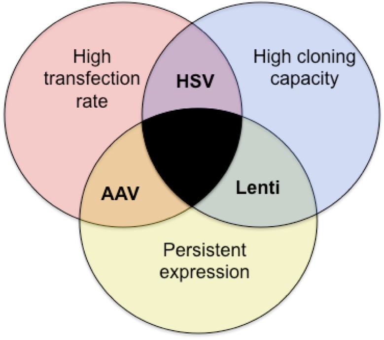 Fig. 11