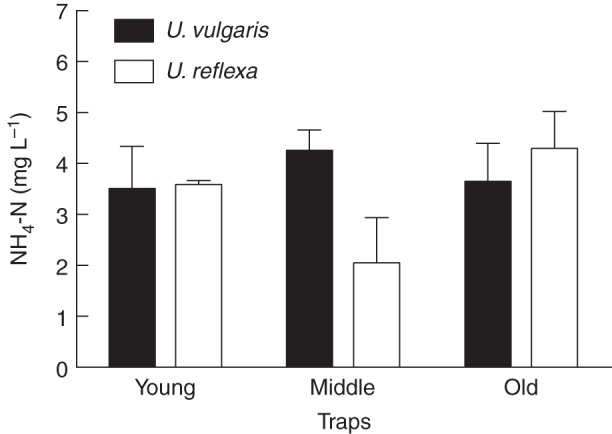 Fig. 1.