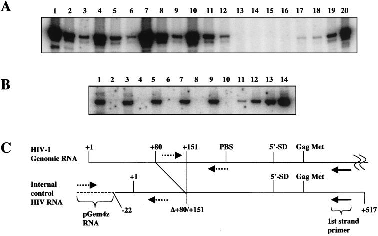 FIG. 8