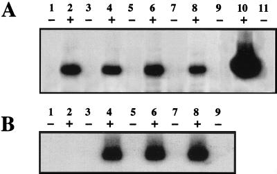 FIG. 9