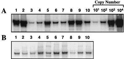 FIG. 6