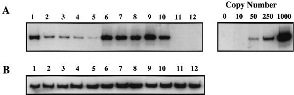 FIG. 7