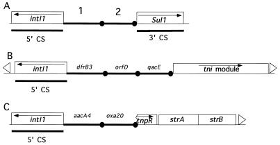 FIG. 6