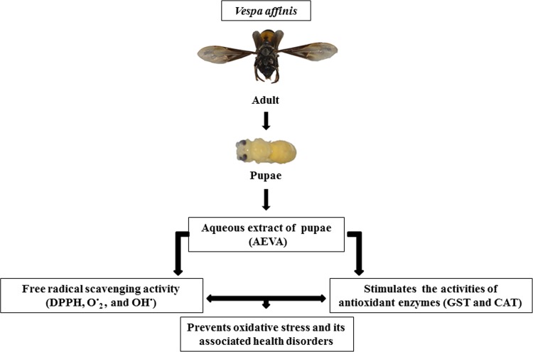 Fig 14