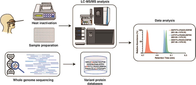 graphic file with name pr1c00613_0006.jpg