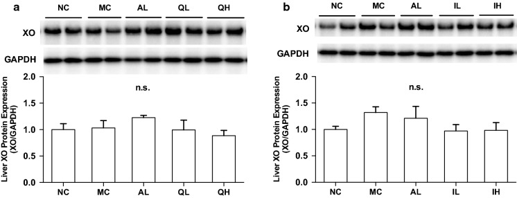 Fig. 6