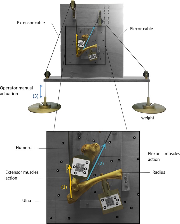 Fig 3