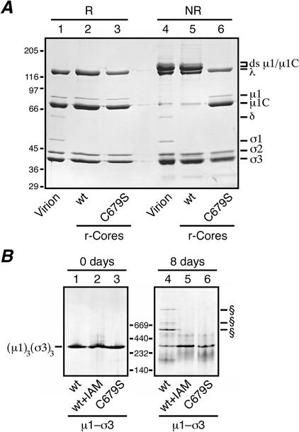 FIG. 5.