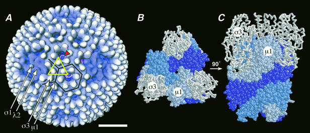 FIG. 1.