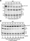 FIG. 7.