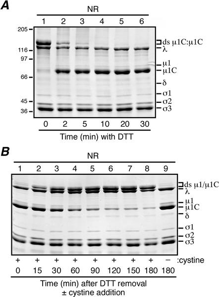 FIG. 7.