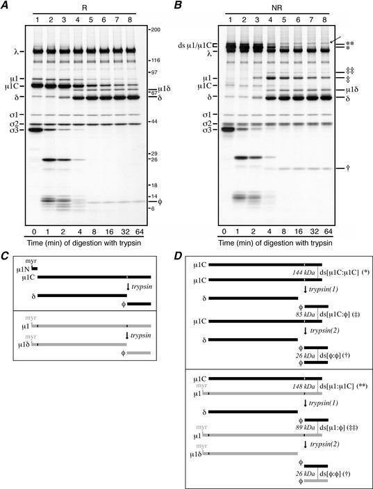 FIG. 4.