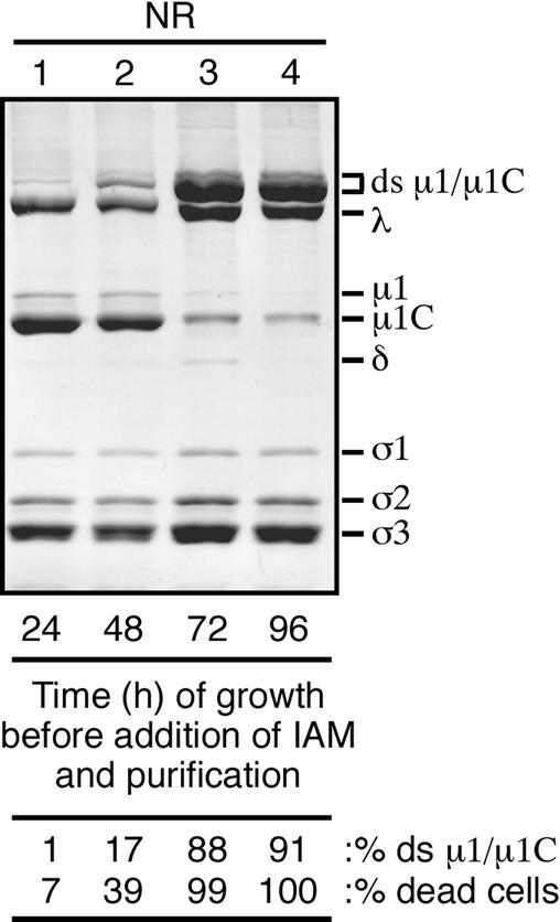 FIG. 6.