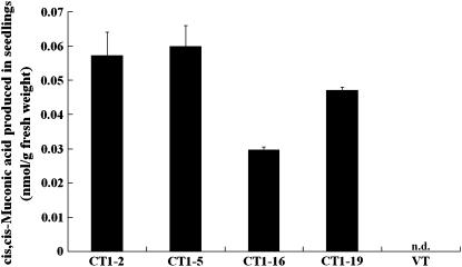 Figure 7.