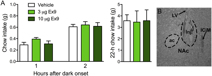 Fig. 4