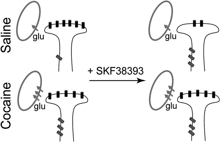 Figure 10.