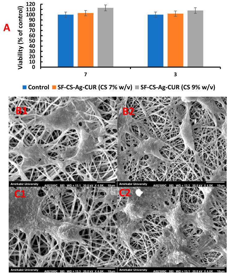 Figure 11