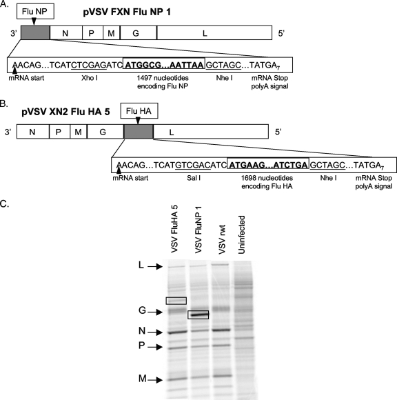 FIG. 1.