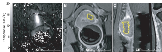 Figure 6: