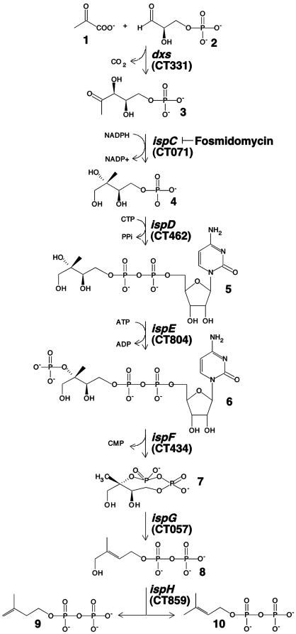 Fig. 3.