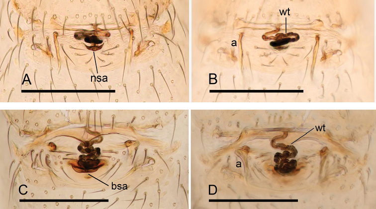 Figure 24.