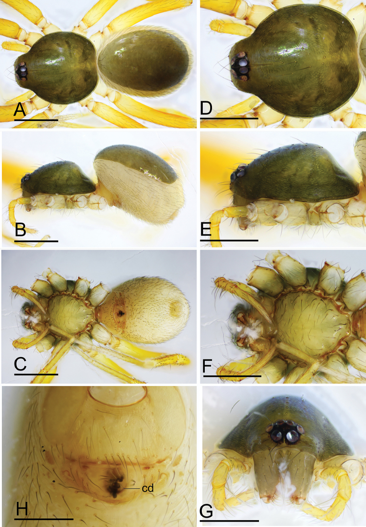 Figure 12.