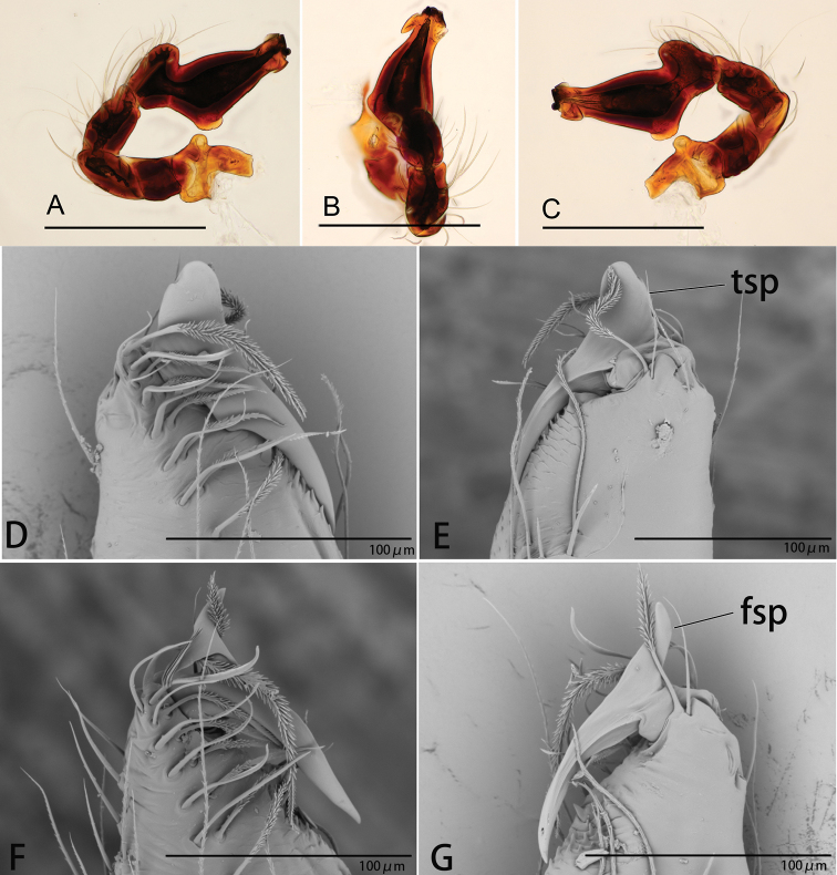 Figure 21.