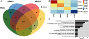 FIG 2