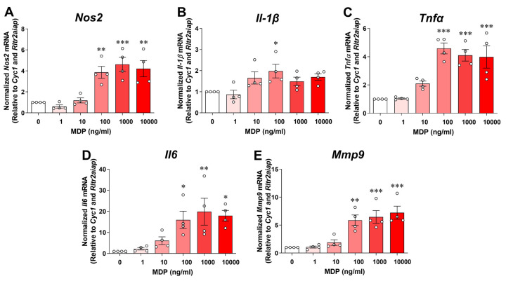 Figure 2.