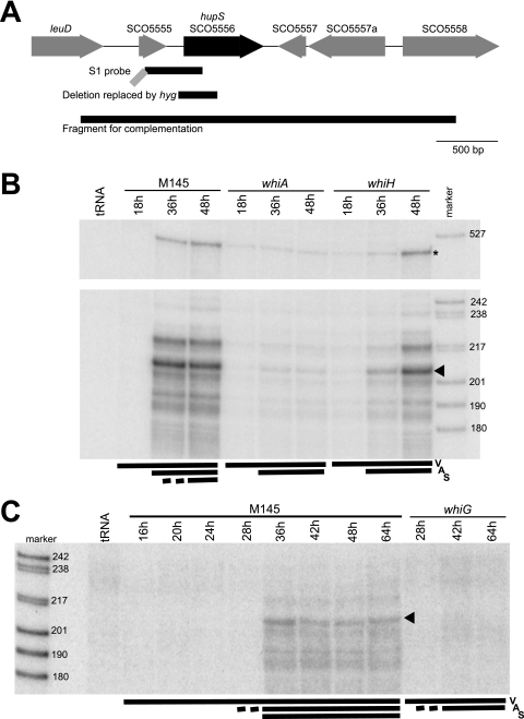 FIG. 1.