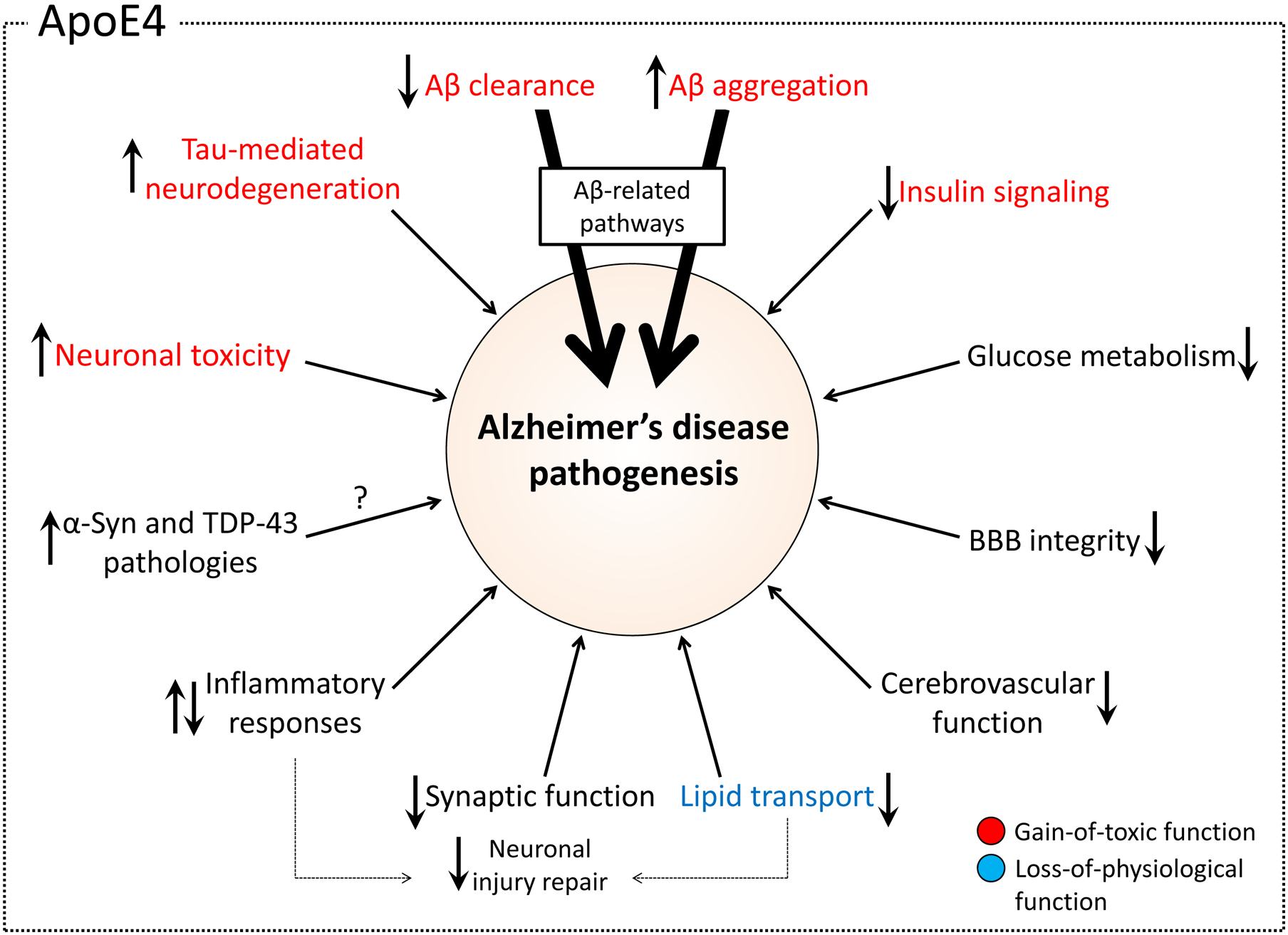 Figure 4: