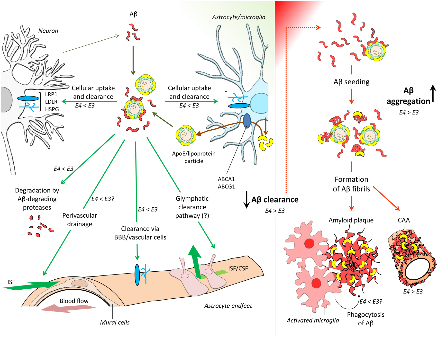 Figure 3: